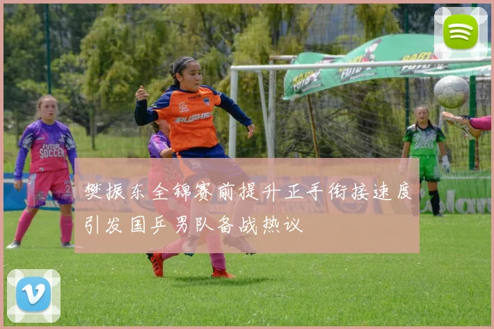樊振东全锦赛前提升正手衔接速度引发国乒男队备战热议
